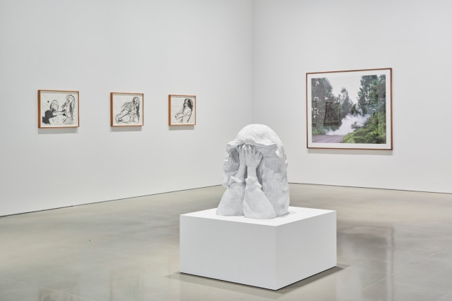 vista de instalaci&amp;oacute;n&amp;nbsp;miguel calder&amp;oacute;n: neur&amp;oacute;ticos an&amp;oacute;nimos, kurimanzutto nueva york, 2025. foto: zach hyman