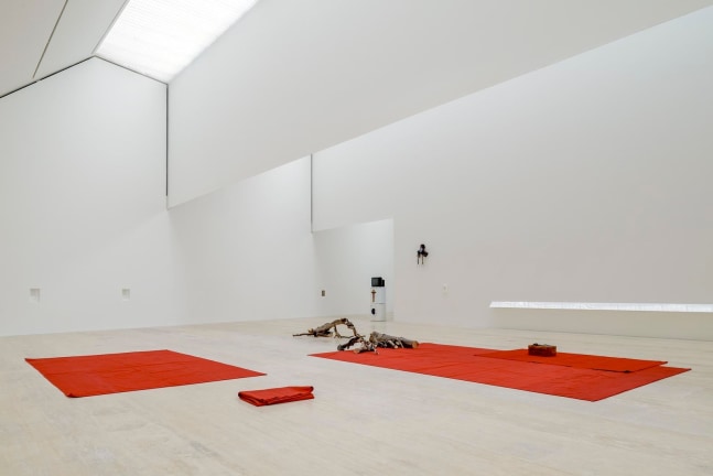 	beauty queen, 2013	vista de instalaci&amp;oacute;n museo jumex, ciudad de m&amp;eacute;xico, 2014