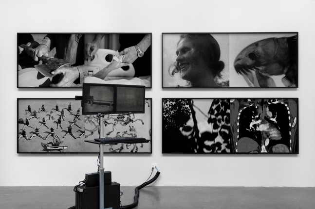 daniela rossell &amp;amp; galen jackson,&amp;nbsp;computer with an internet connection&amp;nbsp;in&amp;nbsp;siembra (sowing), kurimanzutto, mexico city, 2020