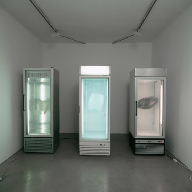 untitled (trinity), 2004

three working refrigerators, three hovering shopping bags

74.8 x 125.98 x 23.62 in.

&amp;nbsp;