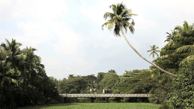 narrow day, 2011

video

4:54 min

&amp;nbsp;

&amp;nbsp;