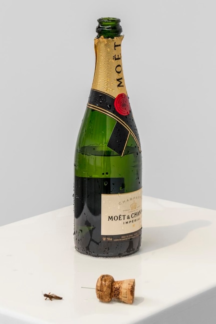 second chance I, 2013

champagne bottle with cork and no wire protector, cricket, pin

12.6 x 3.54 x 3.54 in.

installation view after bottle exploded

&amp;nbsp;

&amp;nbsp;

&amp;nbsp;