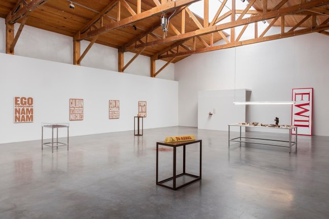 	feast and famine,&amp;nbsp;kurimanzutto, mexico city, 2015