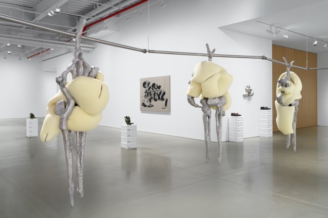 b&amp;aacute;rbara s&amp;aacute;nchez-kane, new lexicons for embodiment, kurimanzutto, new york, 2023. photo: dan bradica&amp;nbsp;