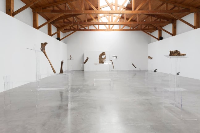 	allora &amp;amp; calzadilla, performative ellipses, 2016
