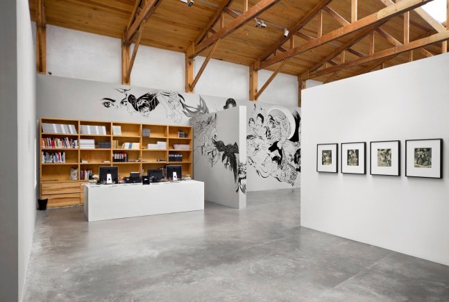 	dr. lakra, kurimanzutto, mexico city, 2009