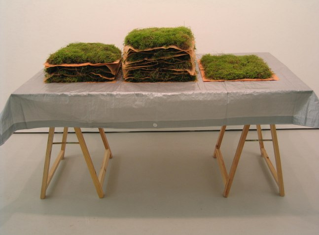 untitled (diario econ&amp;oacute;mico), 2004

trestle table, tarpaulin, damp moss,&amp;nbsp;damp newspaper

59.84 x 54.33 x 31.5 in.

&amp;nbsp;
