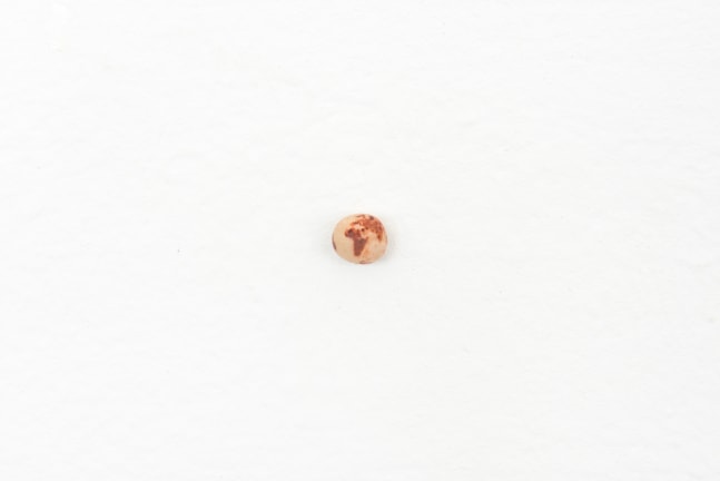 
untitled (globe of the world), 2002

ink on chickpea
0.02 in.

&amp;nbsp;

&amp;nbsp;