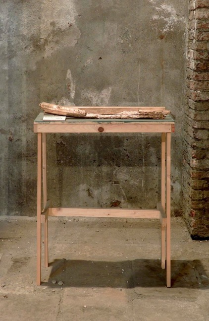	il cotidiano alterato, 50 venice biennial, jimmie durham, venice, 2003
