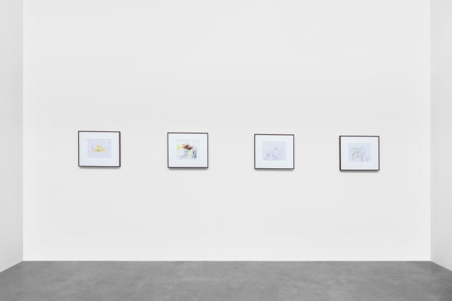 miguel calder&amp;oacute;n,&amp;nbsp;amenaza cocotera (coconut threat)&amp;nbsp;in&amp;nbsp;siembra (sowing), kurimanzutto, mexico city, 2020-21