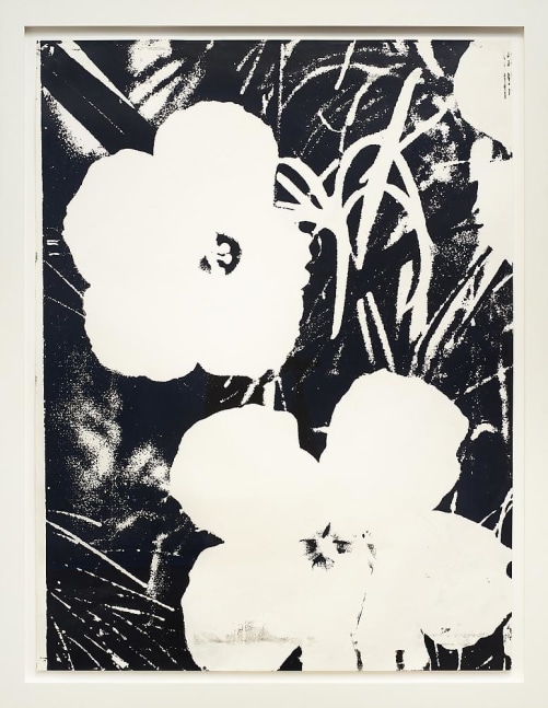 Andy Warhol
Flowers
1964
unique screenprint on Strathmore paper
40 x 30 inches (101.6 x 76.2 cm)