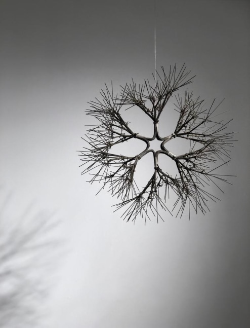Ruth Asawa

Untitled (S.399, Hanging Tied Wire Open Center Six-Branched Form Based on Nature)

1968

copper wire

14 x 14 x 10 inches (35.6 x 35.6 x 25.4 cm)