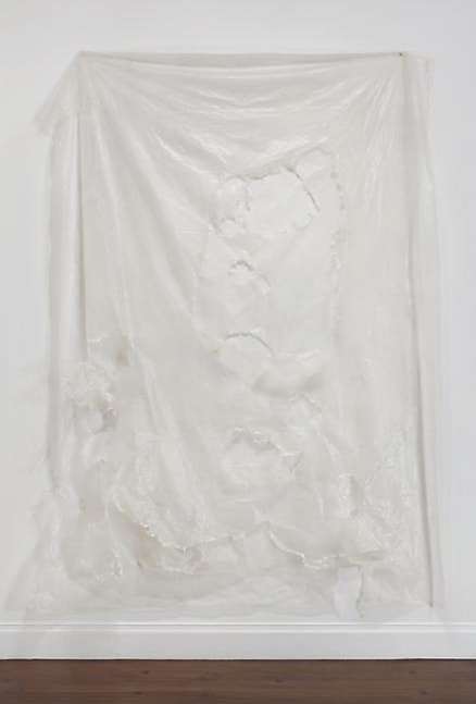 David Hammons

Untitled
2007
plastic
128 x 89 inches (325.1 x 226.1 cm)

Photography by Tom Powel Imaging, Inc.