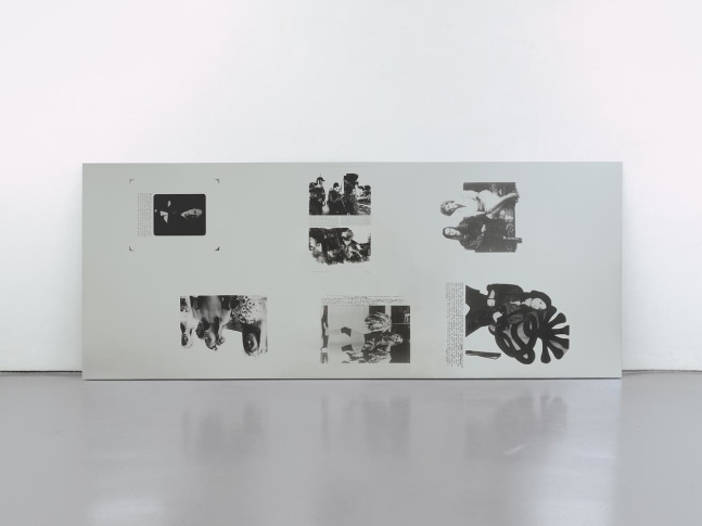 Cady Noland Untitled (Patty Hearst) 1989 silkscreen on polished aluminum sheet 47 1/4 x 118 inches (120 x 299.7 cm)