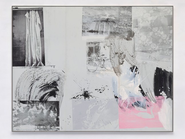 Easter Lake (Galvanic Suite)

1988

silkscreen ink, enamel, and acrylic on galvanized steel

84&amp;nbsp;&amp;frac34; x 108&amp;nbsp;⅞ inches (215.4 x 276.7 cm)

&amp;copy; 2022 The Robert Rauschenberg Foundation, Licensed by VAGA at Artists Rights Society (ARS), New York. Photo: Ron Amstutz, courtesy of The Robert Rauschenberg Foundation and Mnuchin Gallery, New York.

&amp;nbsp;