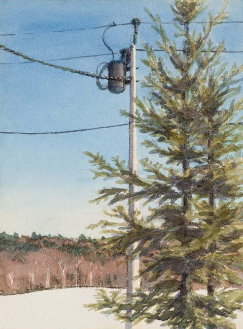 Pine and Pole, 1972. Watercolor and pencil on paper, 11 x 8 1/2 inches