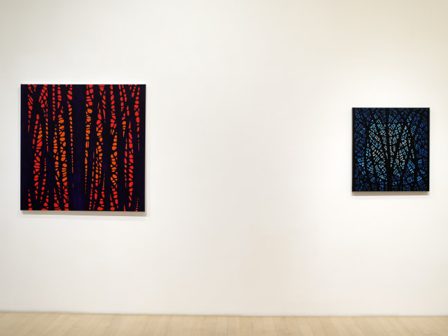 Katia Santiba&ntilde;ez: Lumens Anima