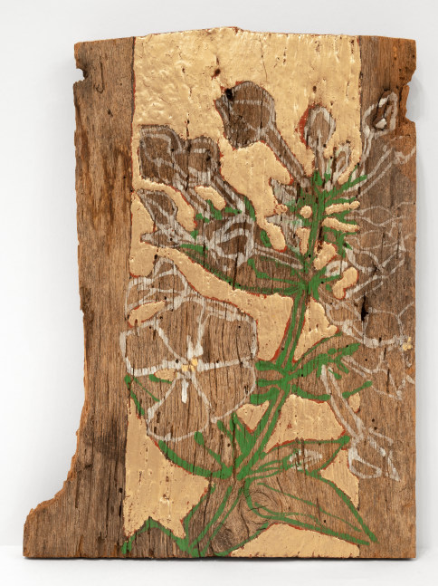 Robert Kushner, Phlox, 2011. Oil and acrylic on wood, 13 x 9 1/4 inches