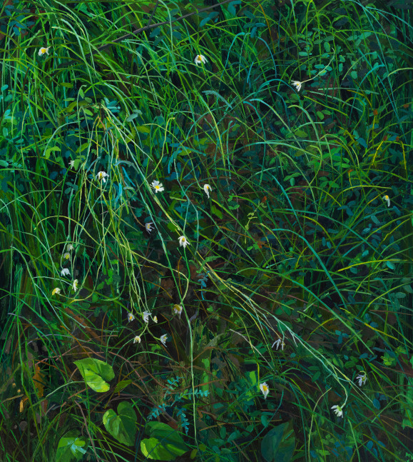 Claire Sherman
Wildflowers and Grass,&amp;nbsp;2020

Oil on canvas

60 x 54 in