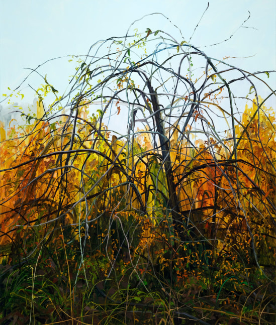 Claire Sherman, Vines, 2021. Oil on canvas, 78 x 66 inches
