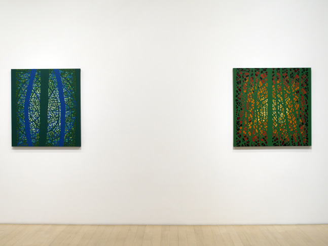 Katia Santiba&ntilde;ez: Lumens Anima