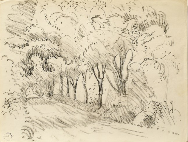 Tunnel Through the Trees, Study, n.d.

Pencil on paper

17 x 22 inches (paper); 23 3/4 x 28 1/2 inches (frame)

&amp;nbsp;