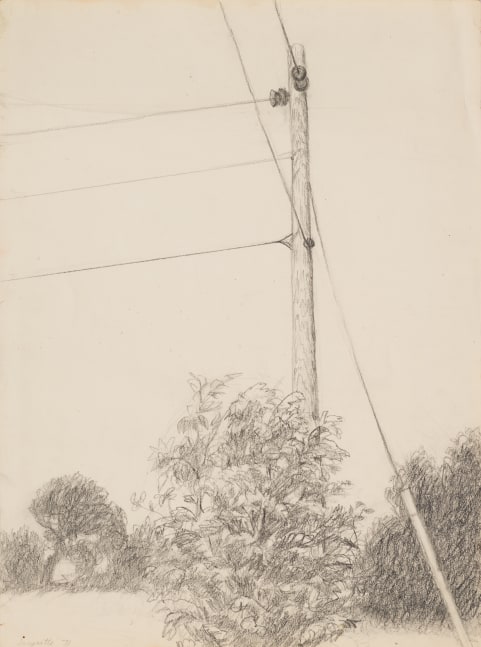 Tel Pole with Bushes (Pine + Pole), 1971 Signed, titled, and dated on verso Pencil on paper 11 x 8 1/2 inches