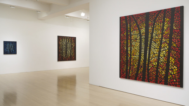 Katia Santiba&ntilde;ez: Lumens Anima