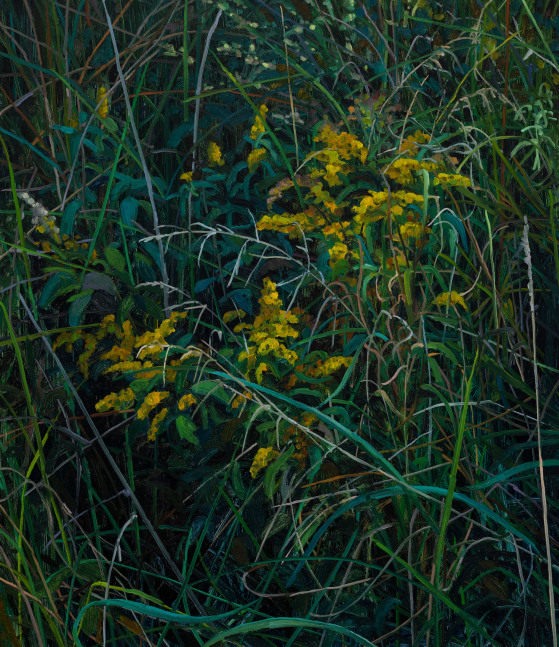 Claire Sherman, Wildflowers, 2022. Oil on canvas, 30 x 26 inches