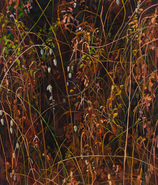Claire Sherman
Grass and Leaves, 2020
Oil on canvas
42 x 36 inches