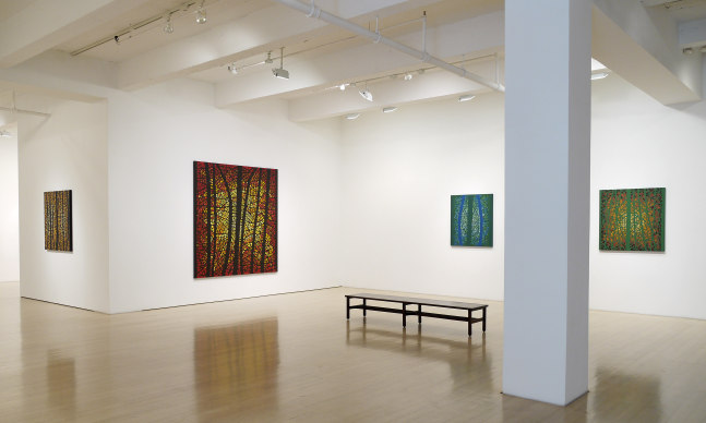 Katia Santiba&ntilde;ez: Lumens Anima