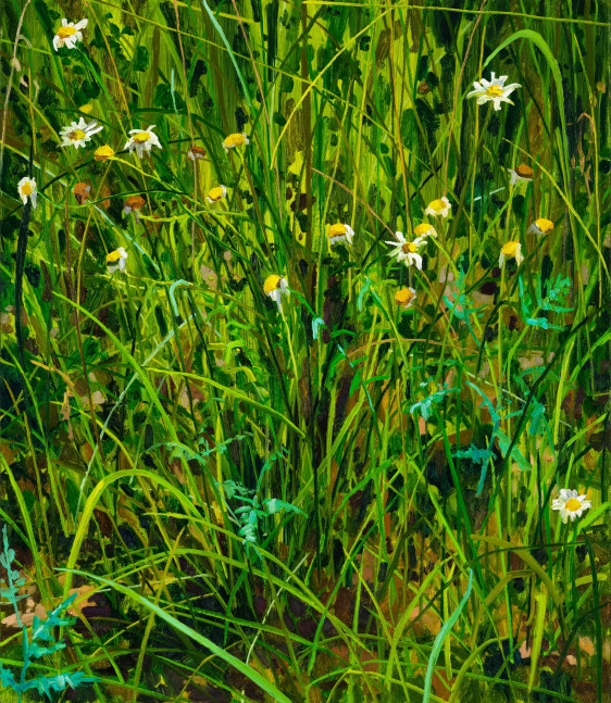 Claire Sherman, Wildflowers, 2020. Oil on canvas, 30 x 26 inches