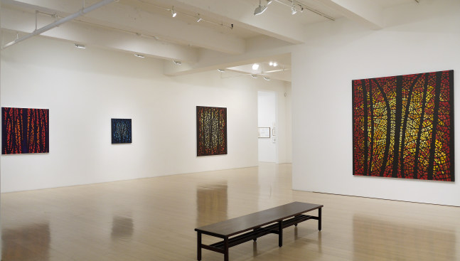 Katia Santiba&ntilde;ez: Lumens Anima