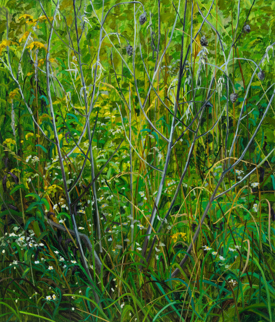 Wildflowers, 2023. Oil on canvas, 42 x 36 inches
