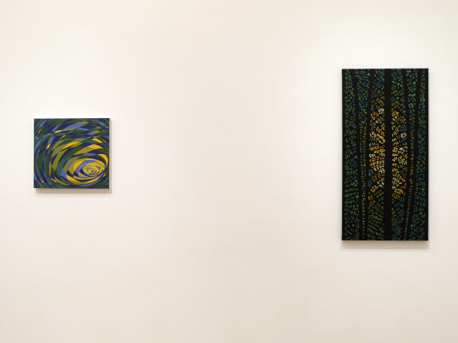 Katia Santiba&ntilde;ez: Lumens Anima