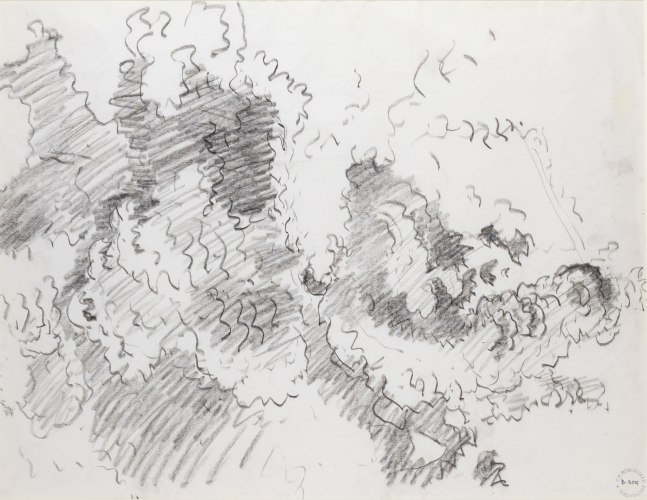 Albarellas Maple Tree, 1960

Crayon on paper

11 x 22 inches