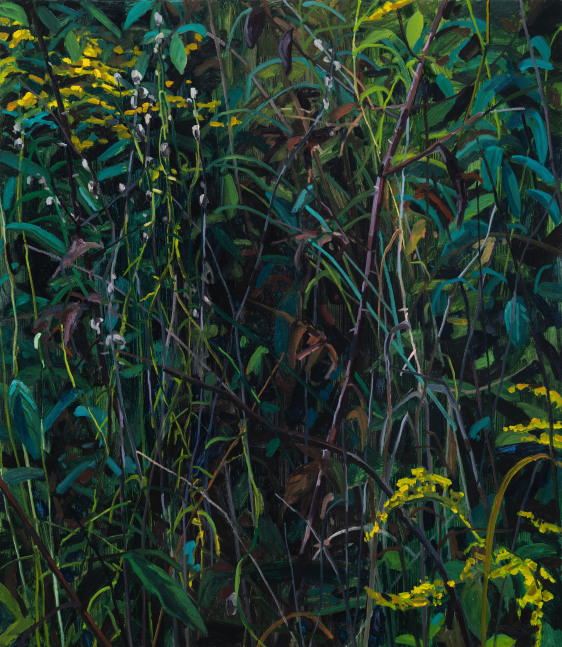 Claire Sherman Wildflowers, 2024 Oil on canvas 30 x 26 inches