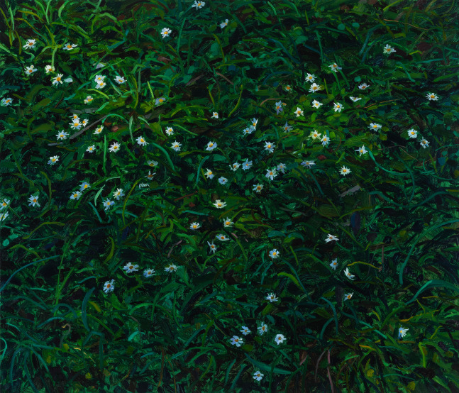 Wildflowers, 2024. Oil on canvas, 36 x 42 inches