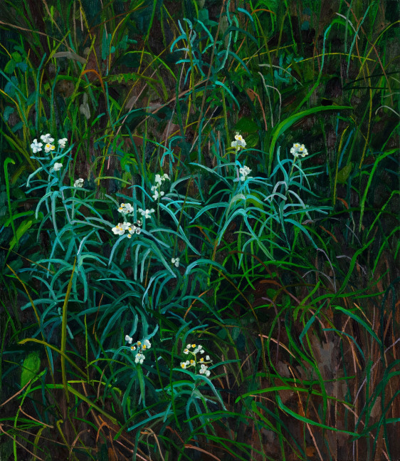 Claire Sherman, Wildflowers, 2020. Oil on canvas, 30 x 26 inches