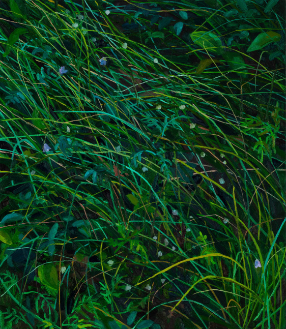 Claire Sherman, Wildflowers, 2020. Oil on canvas, 30 x 26 inches