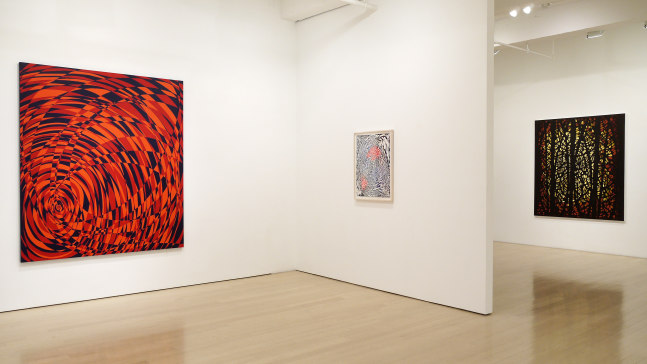 Katia Santiba&ntilde;ez: Lumens Anima