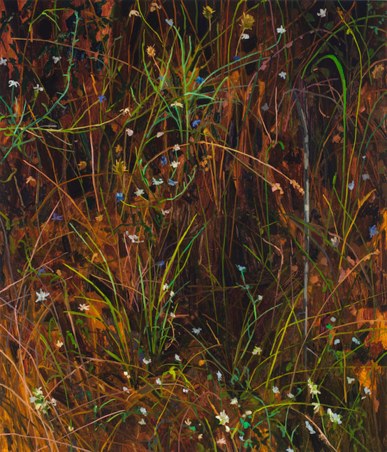 Claire Sherman
Grass and Flowers, 2020
Oil on canvas
42 x 36 inches