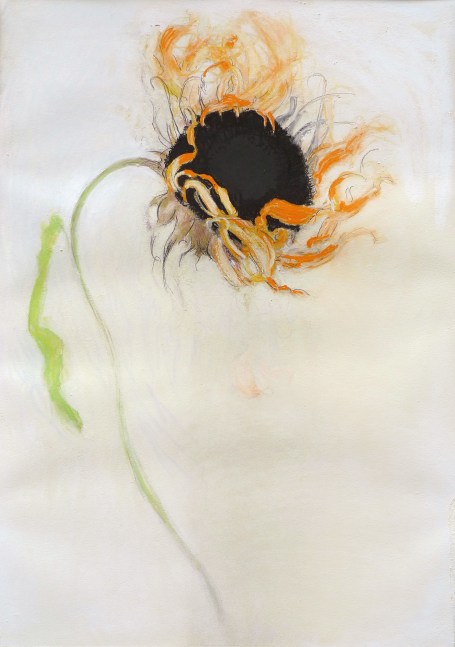 Sunflower (Black), 2010. Pastel on paper, 41 x 29 inches.
