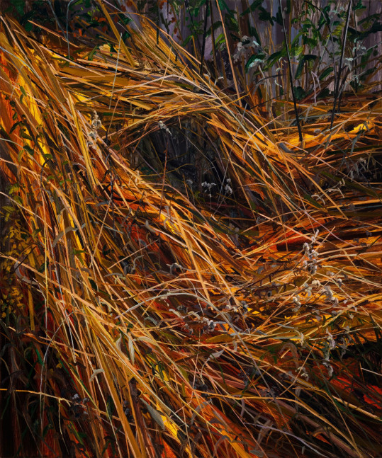Claire Sherman, Grass and Wildflowers, 2021. Oil on canvas, 72 x 60 inches