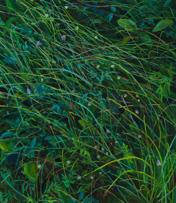 Claire Sherman
Wildflowers,&amp;nbsp;2020

Oil on canvas

30 x 26 in