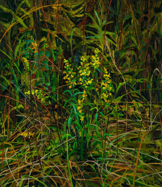 Claire Sherman, Wildflowers, 2020. Oil on canvas, 30 x 26 inches