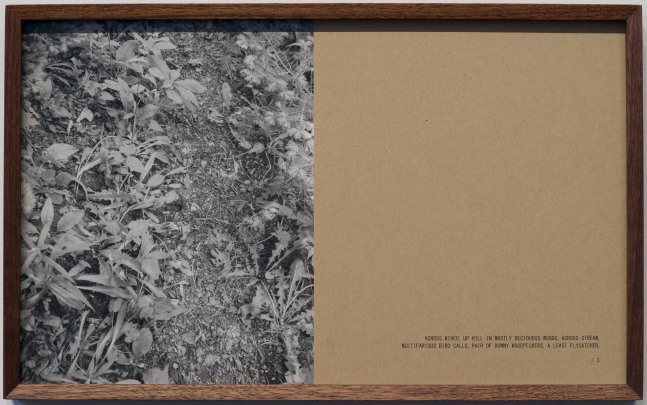 RHE: Jan Dibbets, Helen Mirra, Fiona Tan, Richard Wentworth