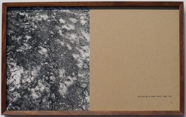 RHE: Jan Dibbets, Helen Mirra, Fiona Tan, Richard Wentworth