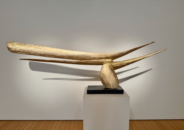 David Borgerding
KOAH, 2025
Bronze
28h x 96w x 17d in