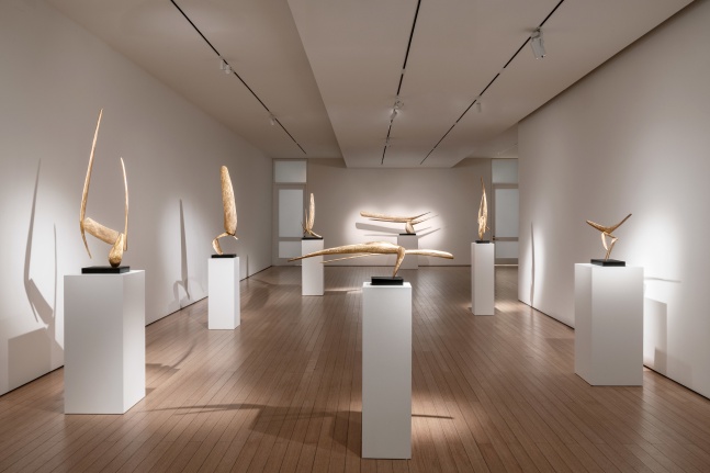 David Borgerding
Callan Contemporary
gallery view